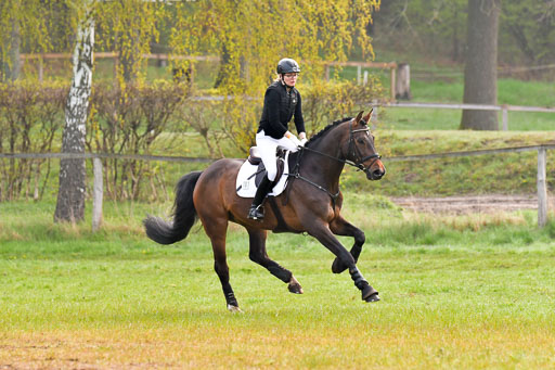 Luhmühlen Stilgeländeritt A  02.05.21 | 020521 Stilgeländeritt A+ _227 