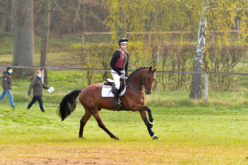 Luhmühlen Stilgeländeritt A  02.05.21 | 020521 Stilgeländeritt A+ _246 