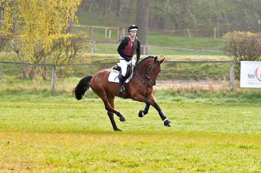 Luhmühlen Stilgeländeritt A  02.05.21 | 020521 Stilgeländeritt A+ _247 