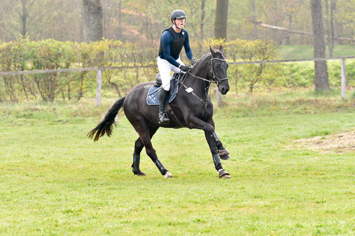Luhmühlen Stilgeländeritt A  02.05.21 | 020521 Stilgeländeritt A+ _328 