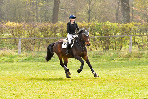 Luhmühlen Stilgeländeritt A  02.05.21 | 020521 Stilgeländeritt A+ _367 