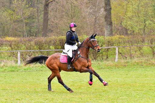 Luhmühlen Stilgeländeritt A  02.05.21 | 020521 Stilgeländeritt A+ _453 