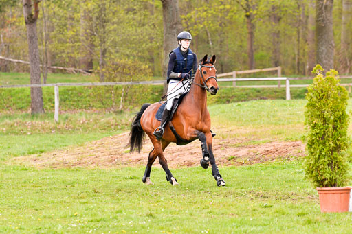 Luhmühlen Stilgeländeritt A  02.05.21 | 020521 Stilgeländeritt A+ _646 