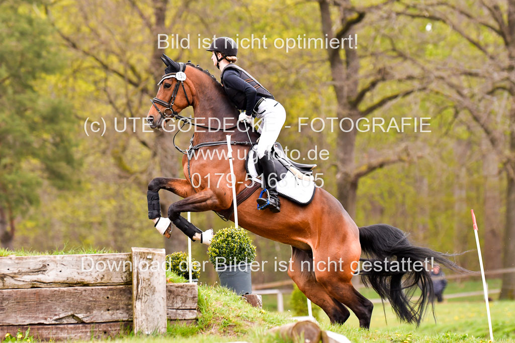 Luhmühlen Stilgeländeritt E  02.05.21 | 020521 Stilgeländeritt E _0440 