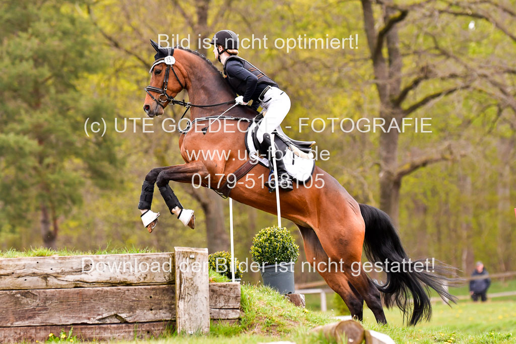 Luhmühlen Stilgeländeritt E 02.05.21 | 020521 Stilgeländeritt E _0441