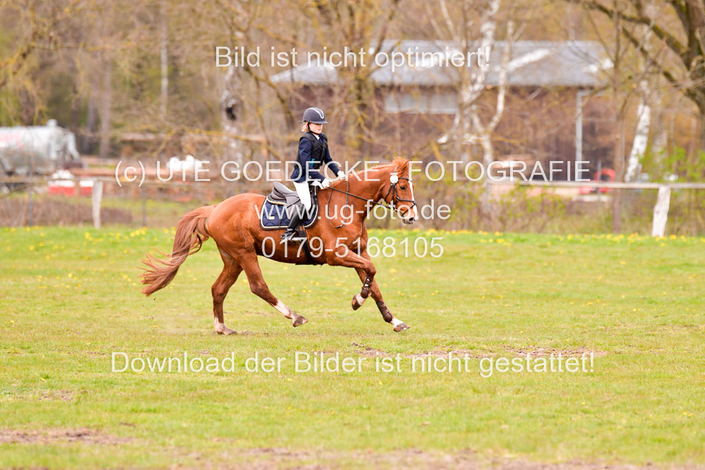 Luhmühlen Stilgeländeritt E  02.05.21 | 020521 Stilgeländeritt E _0479 