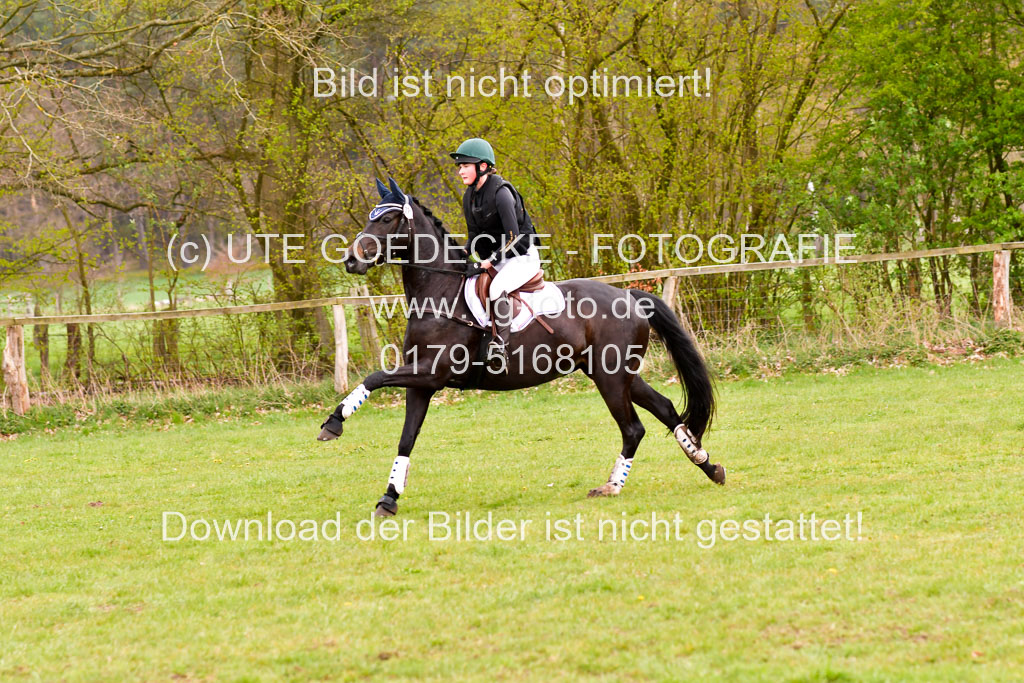 Luhmühlen Stilgeländeritt E 02.05.21 | 020521 Stilgeländeritt E _0602