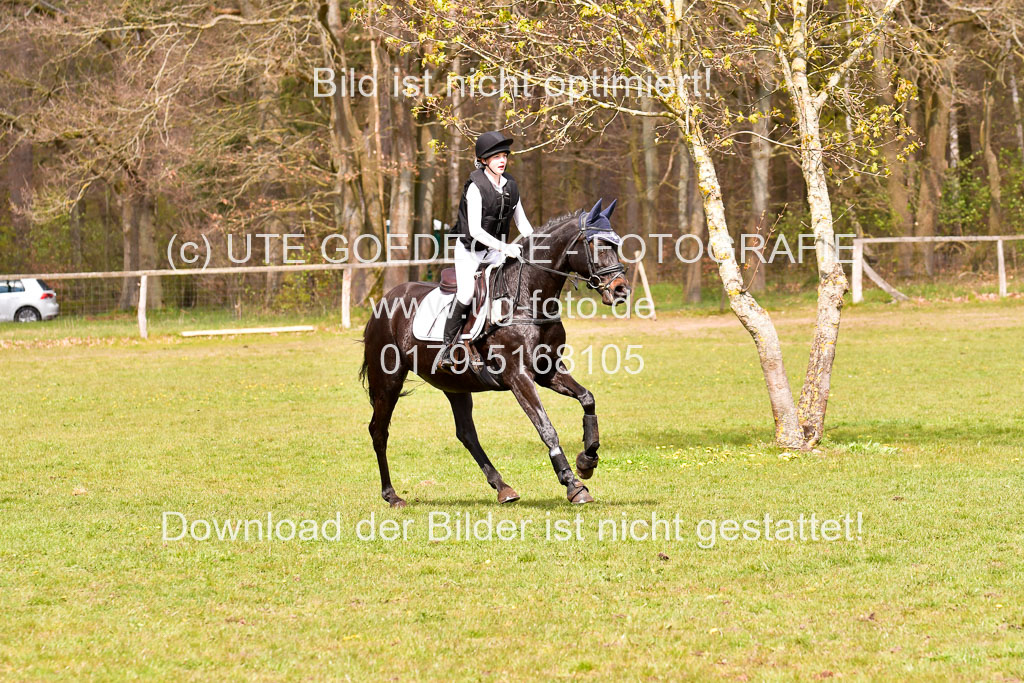 Luhmühlen Stilgeländeritt E 02.05.21 | 020521 Stilgeländeritt E _0666
