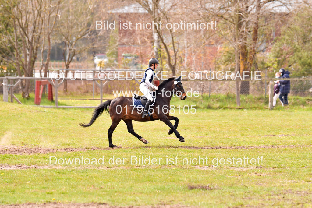 Luhmühlen Stilgeländeritt E 02.05.21 | 020521 Stilgeländeritt E _0713