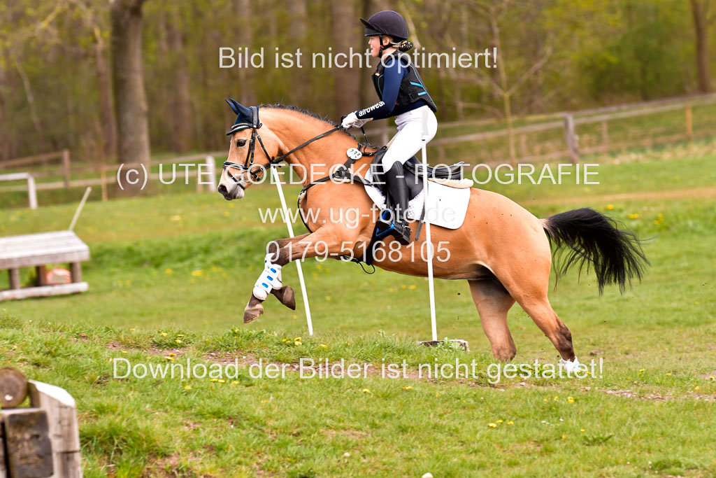Luhmühlen Stilgeländeritt E 02.05.21 | 020521 Stilgeländeritt E _0815