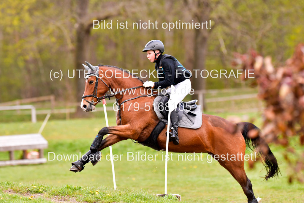 Luhmühlen Stilgeländeritt E 02.05.21 | 020521 Stilgeländeritt E _0830