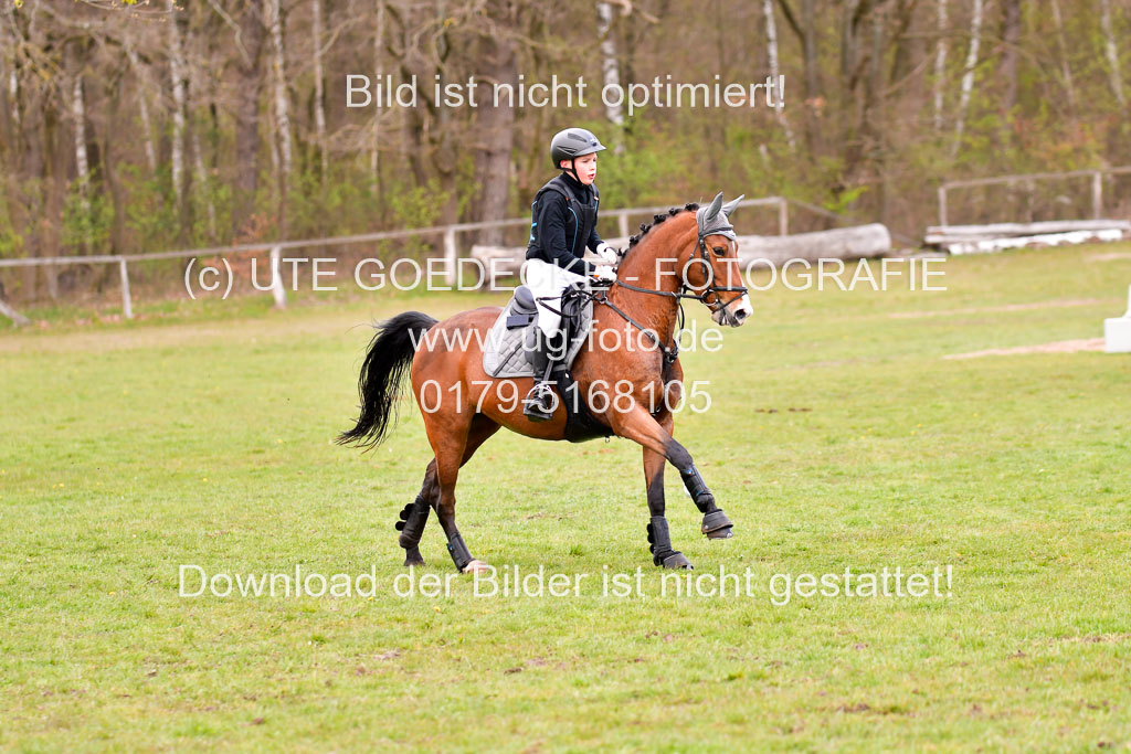 Luhmühlen Stilgeländeritt E 02.05.21 | 020521 Stilgeländeritt E _0834