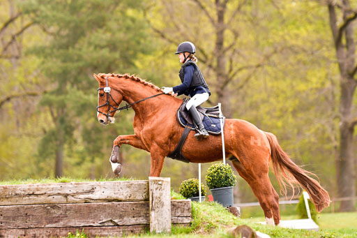 Luhmühlen Stilgeländeritt E  02.05.21 | 020521 Stilgeländeritt E _0476 