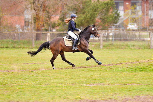 Luhmühlen Stilgeländeritt E  02.05.21 | 020521 Stilgeländeritt E _0519 