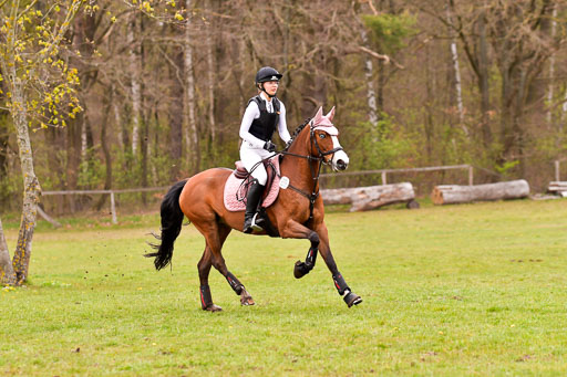Luhmühlen Stilgeländeritt E  02.05.21 | 020521 Stilgeländeritt E _0541 