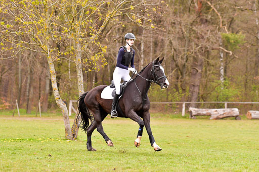Luhmühlen Stilgeländeritt E  02.05.21 | 020521 Stilgeländeritt E _0557 