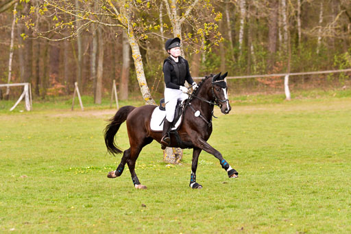 Luhmühlen Stilgeländeritt E  02.05.21 | 020521 Stilgeländeritt E _0763 