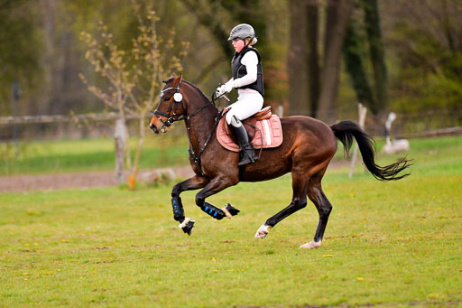Luhmühlen Stilgeländeritt E  02.05.21 | 020521 Stilgeländeritt E _0980 