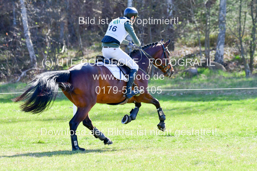 CCIS  Luhmühlen  24.4.2021 | 240421 - CCI _0156 