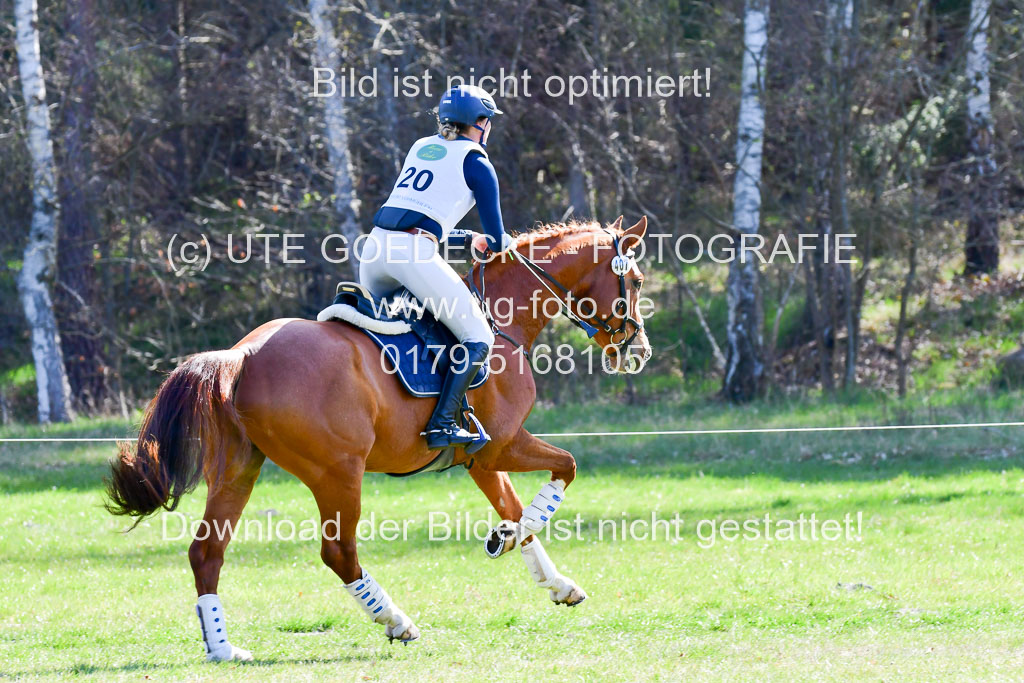 CCIS Luhmühlen 24.4.2021 | 240421 - CCI _0178