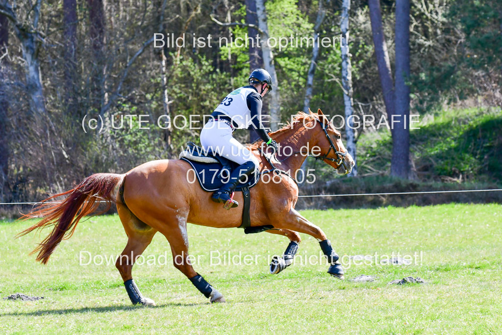 CCIS  Luhmühlen  24.4.2021 | 240421 - CCI _0203 