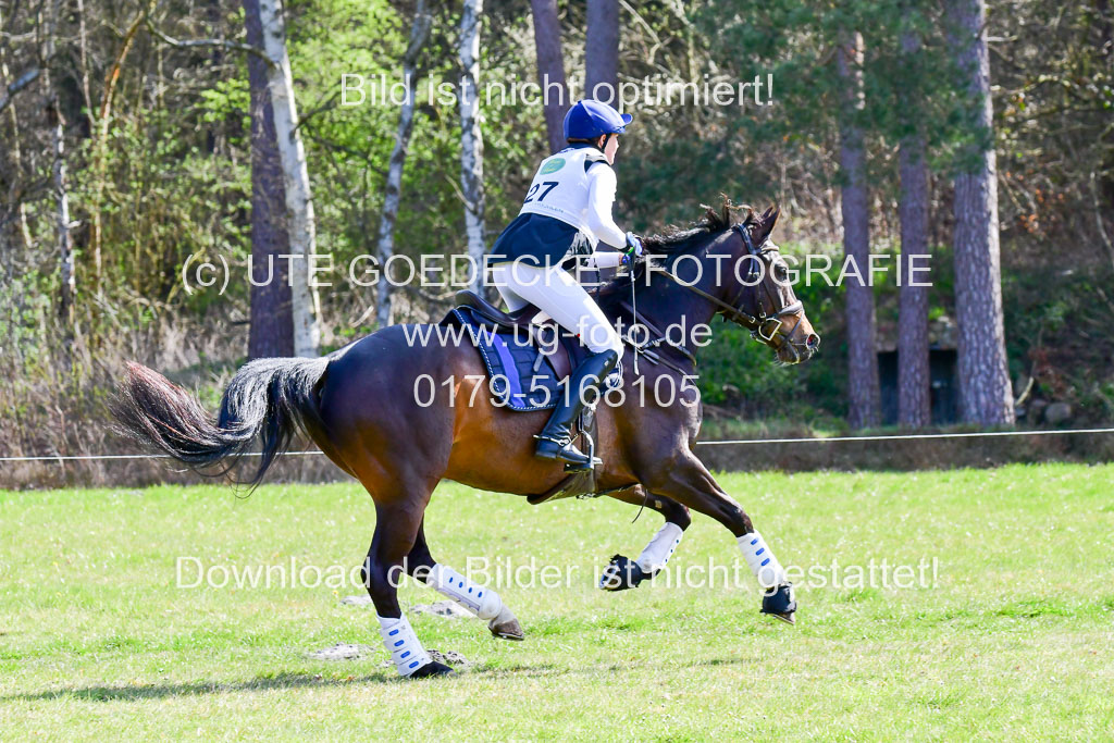 CCIS  Luhmühlen  24.4.2021 | 240421 - CCI _0253 