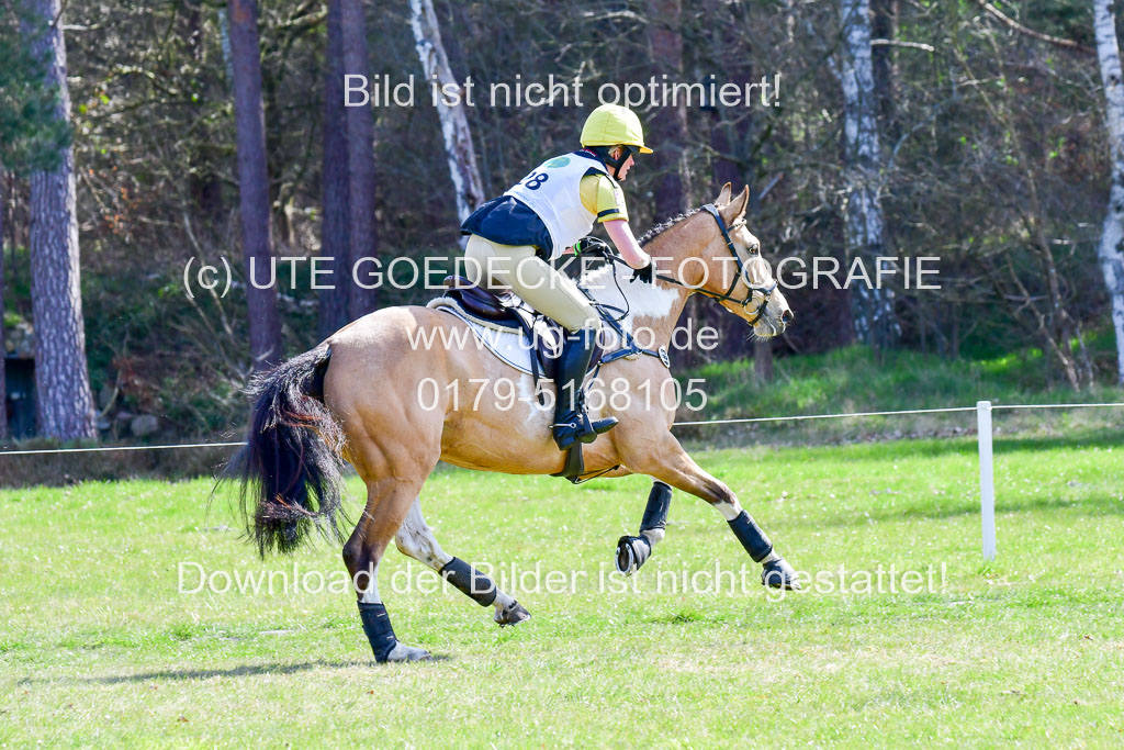 CCIS  Luhmühlen  24.4.2021 | 240421 - CCI _0267 