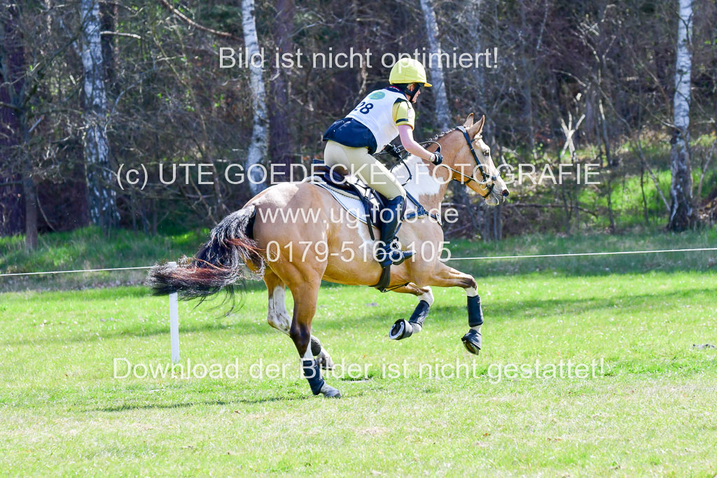 CCIS  Luhmühlen  24.4.2021 | 240421 - CCI _0268 