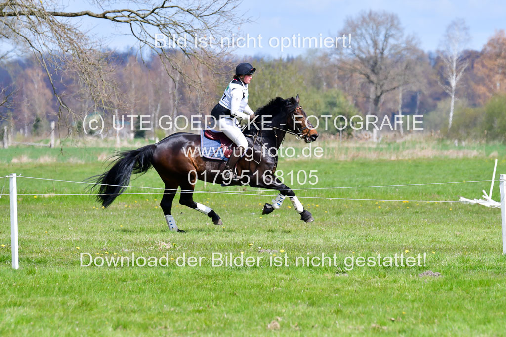 CCIS Luhmühlen 24.4.2021 | 240421 - CCI _0649