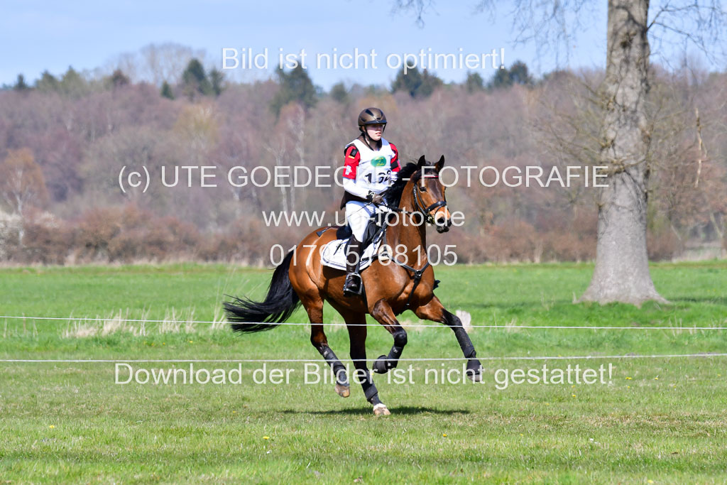 CCIS Luhmühlen 24.4.2021 | 240421 - CCI _1496
