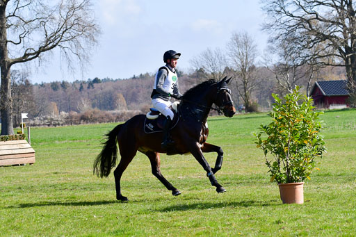 CCIS  Luhmühlen  24.4.2021 | 240421 - CCI _0019 