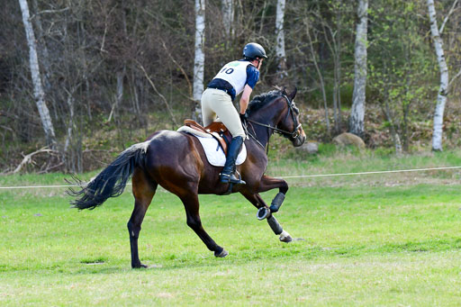 CCIS  Luhmühlen  24.4.2021 | 240421 - CCI _0090 