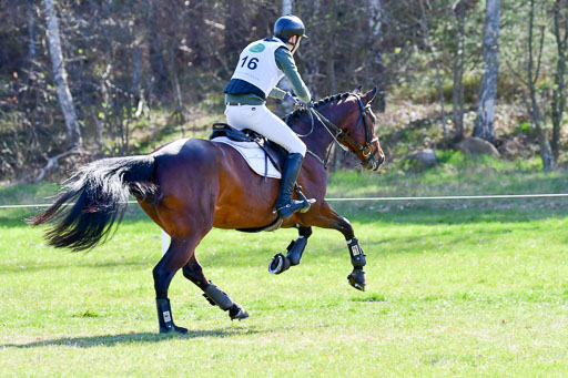 CCIS  Luhmühlen  24.4.2021 | 240421 - CCI _0156 