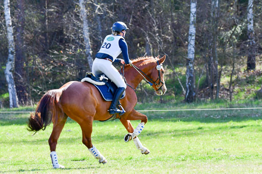 CCIS  Luhmühlen  24.4.2021 | 240421 - CCI _0178 
