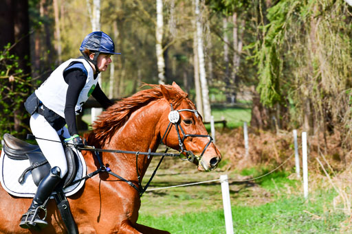 CCIS  Luhmühlen  24.4.2021 | 240421 - CCI _0181 