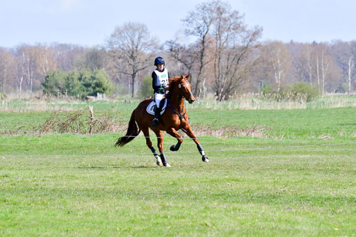 CCIS  Luhmühlen  24.4.2021 | 240421 - CCI _0184 