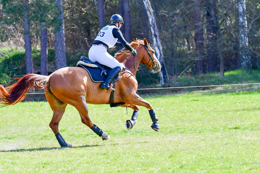 CCIS  Luhmühlen  24.4.2021 | 240421 - CCI _0205 