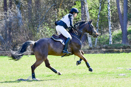 CCIS  Luhmühlen  24.4.2021 | 240421 - CCI _0217 