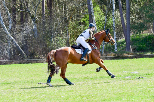 CCIS  Luhmühlen  24.4.2021 | 240421 - CCI _0280 