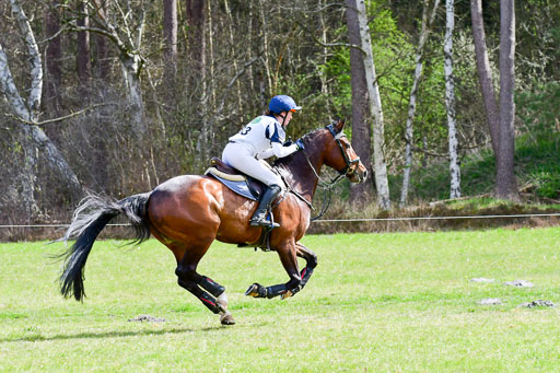 CCIS  Luhmühlen  24.4.2021 | 240421 - CCI _0334 