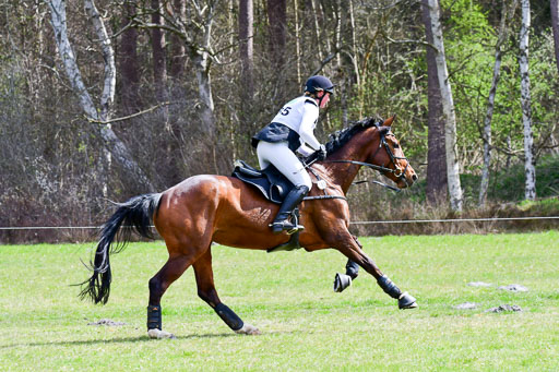 CCIS  Luhmühlen  24.4.2021 | 240421 - CCI _0352 