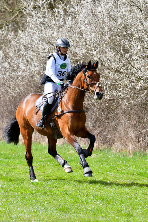 CCIS  Luhmühlen  24.4.2021 | 240421 - CCI _0355 