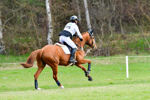 CCIS  Luhmühlen  24.4.2021 | 240421 - CCI _0566 