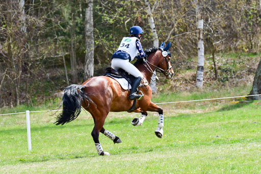 CCIS  Luhmühlen  24.4.2021 | 240421 - CCI _0638 