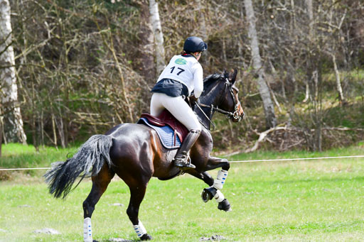 CCIS  Luhmühlen  24.4.2021 | 240421 - CCI _0659 