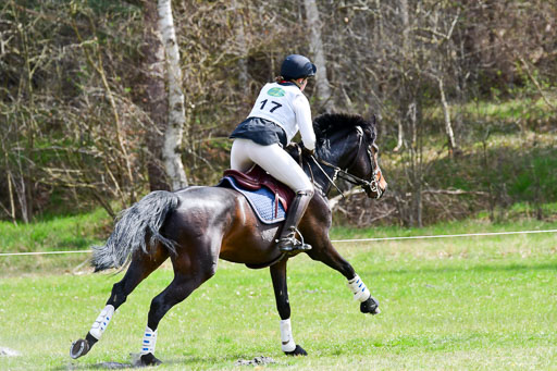 CCIS  Luhmühlen  24.4.2021 | 240421 - CCI _0660 