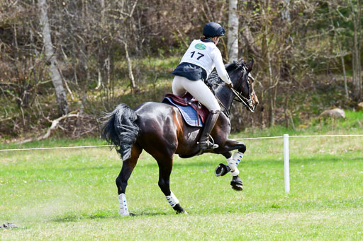 CCIS  Luhmühlen  24.4.2021 | 240421 - CCI _0661 