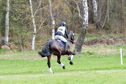 CCIS  Luhmühlen  24.4.2021 | 240421 - CCI _0950 