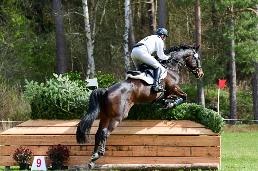 CCIS  Luhmühlen  24.4.2021 | 240421 - CCI _0965 