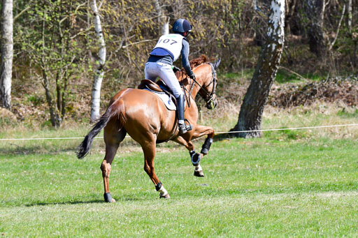 CCIS  Luhmühlen  24.4.2021 | 240421 - CCI _1174 